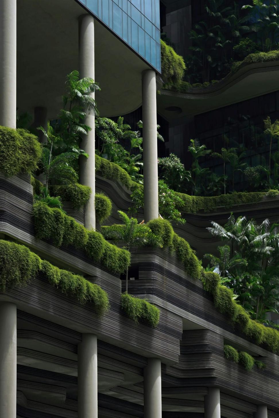 Sustainable architecture integrated with nature